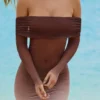 Nemba Sheer Off-Shoulder Mini Dress in Chocolate Brown