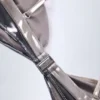 Palmita Ruched Bikini Top in Silver Chrome