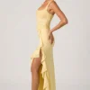 Robina Embellished Ruffle-Trim Corset Gown in Yellow