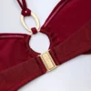 Savai Hardware-Detail Ruched Halterneck Bikini Top in Dark Cherry