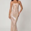 Sima Embellished Square Neck Lace Gown in Pale Peach