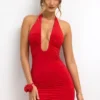 Sofija Slinky Jersey Plunge Neck Ruched Mini Dress in Scarlet Red