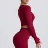 Super Sculpt Seamless Long-Sleeve Crop Top in Burgundy