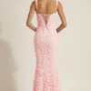 Vasanta Embellished Appliqué Soft-Scoop Corset Gown in Pink