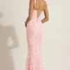 Vasanta Embellished Appliqué Soft-Scoop Corset Gown in Pink
