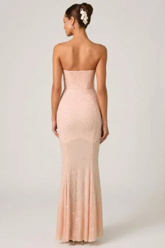 Vesna Embellished Sweetheart-Neck Fishtail Gown in Dusty Rose
