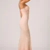 Vesna Embellished Sweetheart-Neck Fishtail Gown in Dusty Rose