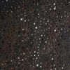 Zahira Embellished One-Shoulder Mini Dress in Black