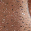 Zeta Sheer Embellished Long Sleeve A-Line Mini Dress in Almond