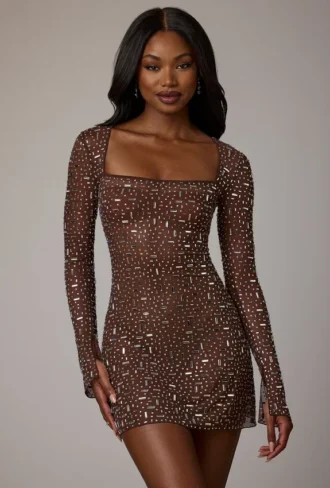 Zeta Sheer Embellished Long Sleeve A-Line Mini Dress in Deep Cocoa