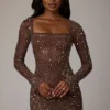 Zeta Sheer Embellished Long Sleeve A-Line Mini Dress in Deep Cocoa