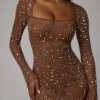 Zeta Sheer Embellished Long Sleeve A-Line Mini Dress in Mocha